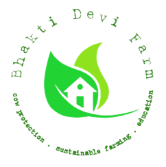 BDF logo